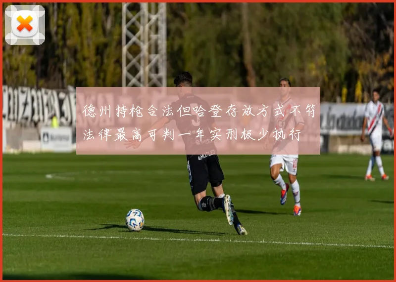 德州持枪合法但哈登存放方式不符法律最高可判一年实刑极少执行
