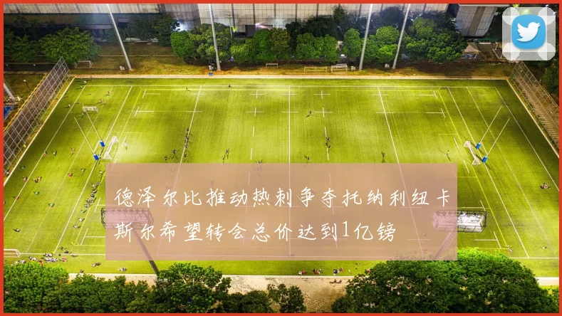 德泽尔比推动热刺争夺托纳利纽卡斯尔希望转会总价达到1亿镑